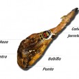De quelle coté commencer à couper notre jambon Pata negra? Normalement il faut commencer à couper le jambon pata negra par la Babilla car c’est la partie qui à moins de gras et qui se sèche le plus vite. Pour...